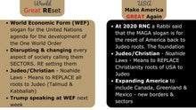 Load image into Gallery viewer, E-Book .pdf of Global ID Big Picture - Dangers of Trump's Second Presidency
