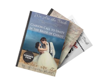 Load image into Gallery viewer, We are the Bride Series Books
